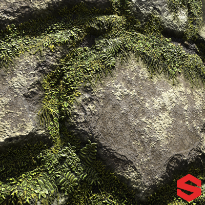 Mossy Wall Study