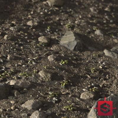 Rocky Dirt Base